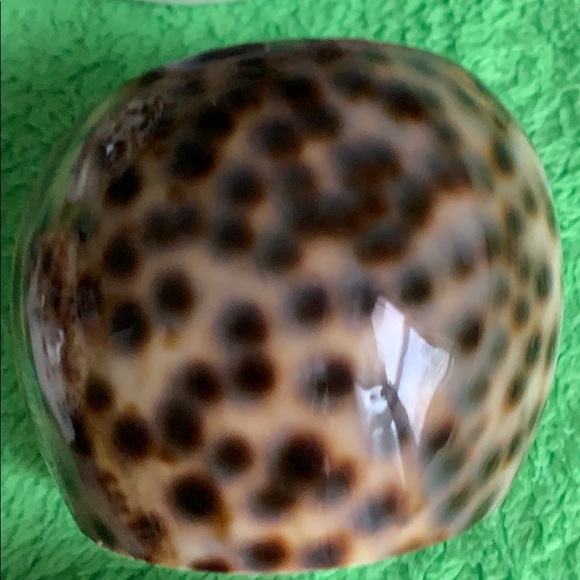 Vintage Seashell set of 7 napkin rings - Picture 8 of 16